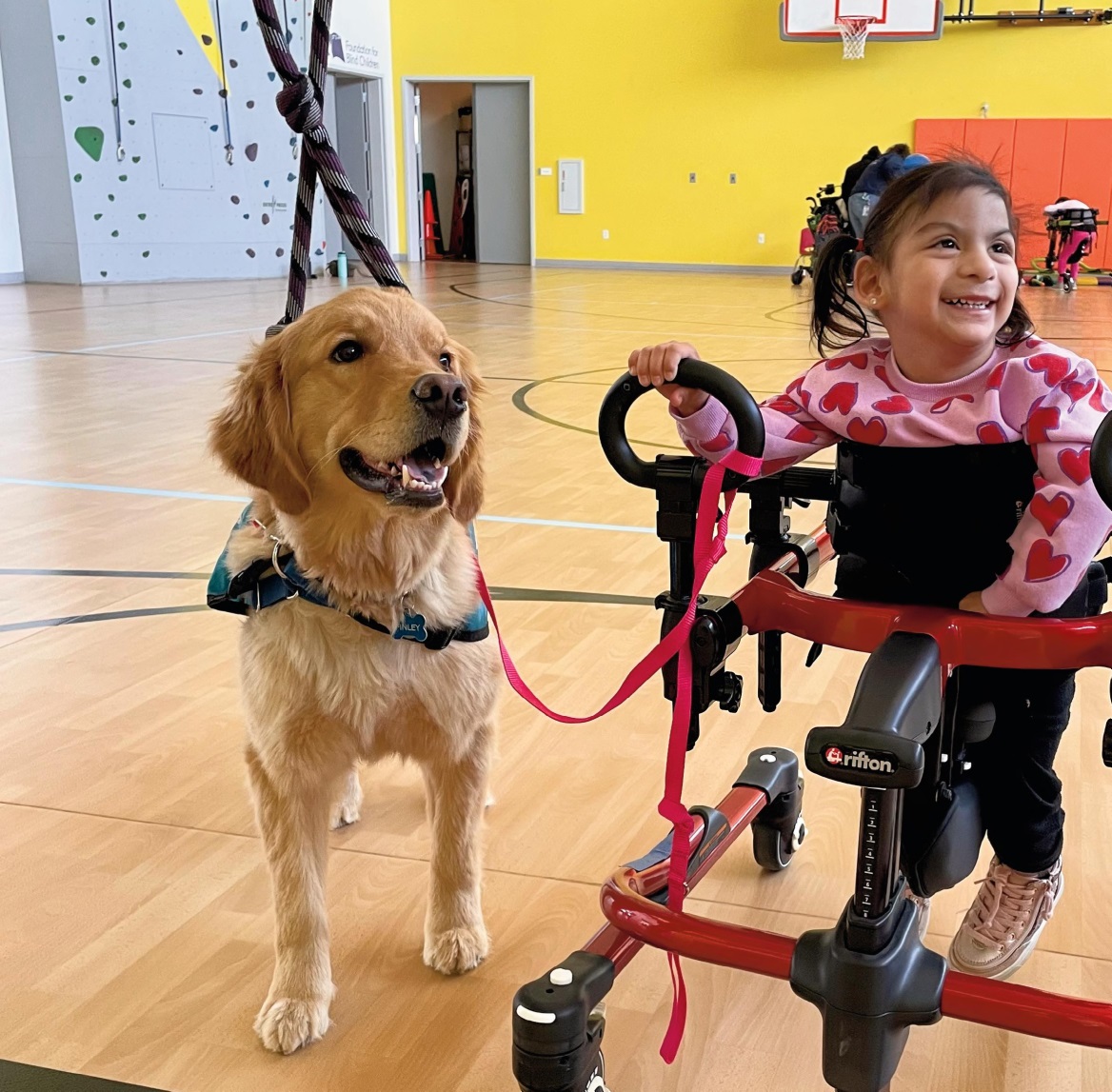 THE UNCONDITIONAL LOVE OF THERAPY DOGS